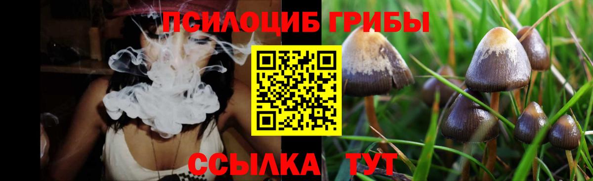 Сердобск  где купить   Вход с VPN  Галлюциногенные грибы GOLDEN TEACHER 