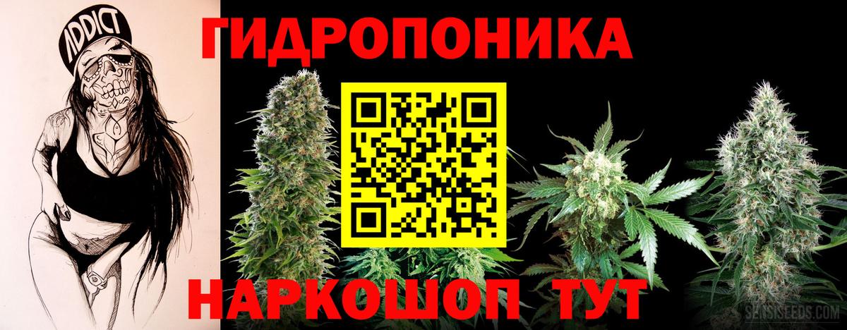 Сердобск  МАРИХУАНА сатива  Вход с VPN  Каннабис конопля 